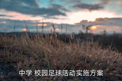 中學(xué) 校園足球活動(dòng)實(shí)施方案