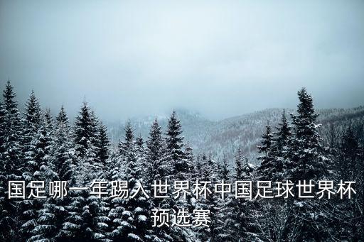 2001中國(guó)足球隊(duì)出線,中國(guó)足球隊(duì)第一次世界杯出線