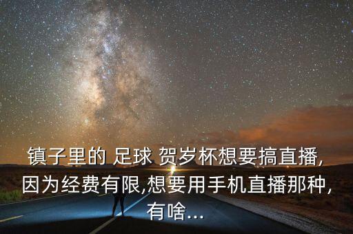 賀歲杯足球比賽視頻,中國(guó)歷屆賀歲杯足球比賽