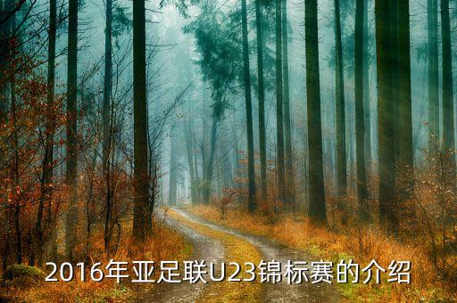 2016年亞足聯(lián)U23錦標(biāo)賽的介紹