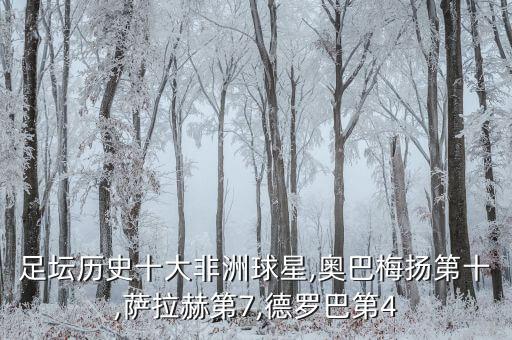 足壇歷史十大非洲球星,奧巴梅揚(yáng)第十,薩拉赫第7,德羅巴第4
