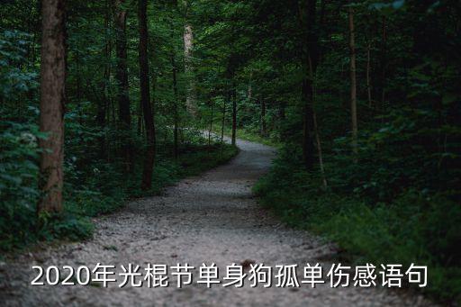 2020年光棍節(jié)單身狗孤單傷感語(yǔ)句