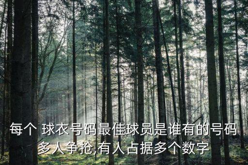 每個 球衣號碼最佳球員是誰有的號碼多人爭搶,有人占據(jù)多個數(shù)字