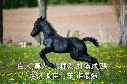 白人,黑人, 黃種人,打籃球,踢 足球,騎自行車,誰(shuí)最強(qiáng)