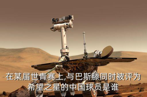 在某屆世青賽上,與巴斯滕同時被評為希望之星的中國球員是誰