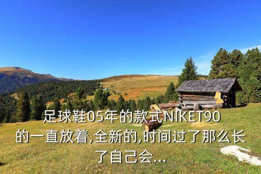 足球鞋05年的款式NIKET90的一直放著,全新的,時(shí)間過(guò)了那么長(zhǎng)了自己會(huì)...