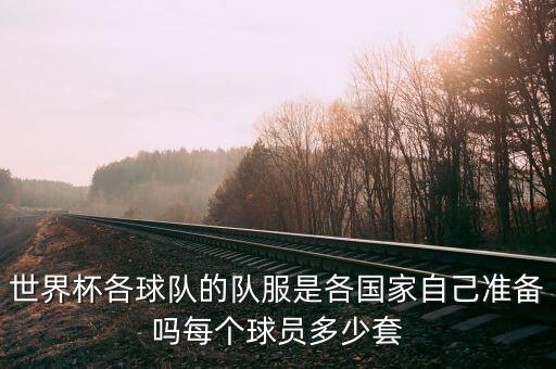 世界杯各球隊的隊服是各國家自己準備嗎每個球員多少套