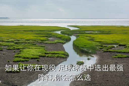 如果讓你在現(xiàn)役 足球球員中選出最強(qiáng)陣容,你會怎么選