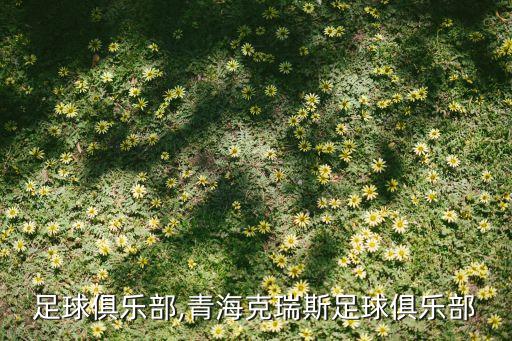 青海足球俱樂(lè)部,青?？巳鹚棺闱蚓銟?lè)部