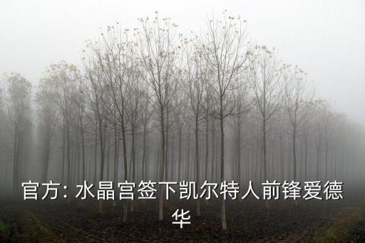 官方: 水晶宮簽下凱爾特人前鋒愛(ài)德華