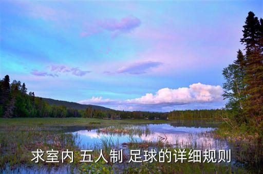 五人制足球比賽入場式,小學(xué)五人制足球比賽視頻