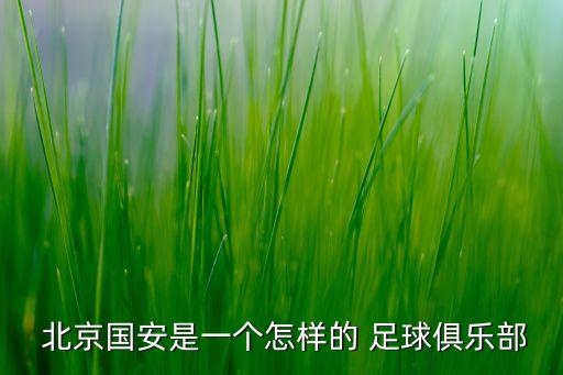 北京國安足球?qū)W校學費