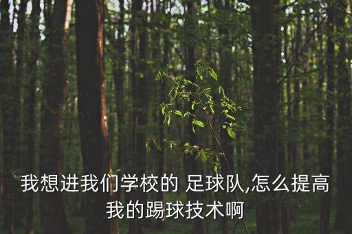 我想進我們學校的 足球隊,怎么提高我的踢球技術啊