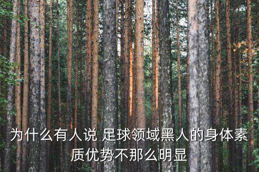 實(shí)況足球 郜林