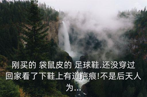扎實的袋鼠皮足球鞋,袋鼠皮足球鞋會越穿越大嗎