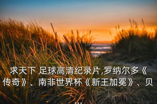 求天下 足球高清紀(jì)錄片,羅納爾多《傳奇》、南非世界杯《新王加冕》、貝...