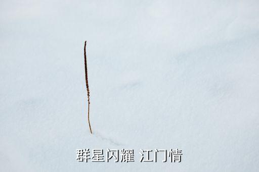 群星閃耀 江門情