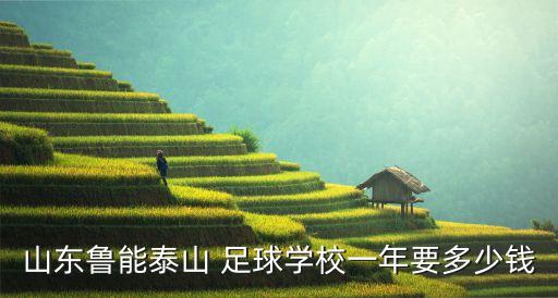 足球大學(xué)學(xué)費多少錢,足球考大學(xué)文化課要多少分