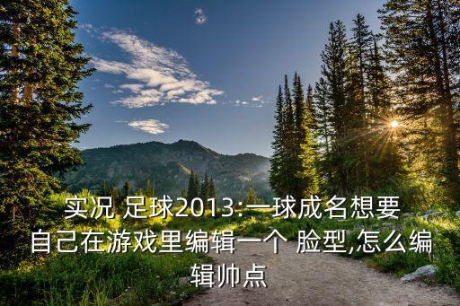  實況 足球2013:一球成名想要自己在游戲里編輯一個 臉型,怎么編輯帥點
