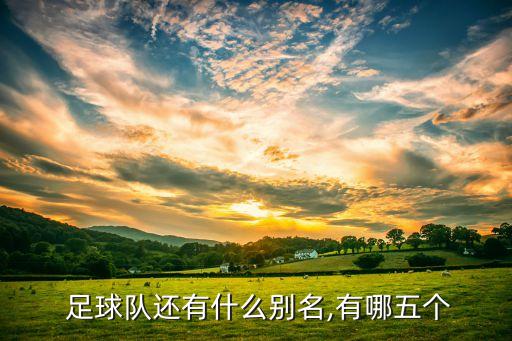 中國國家男子足球隊別稱,意大利男子足球隊別稱