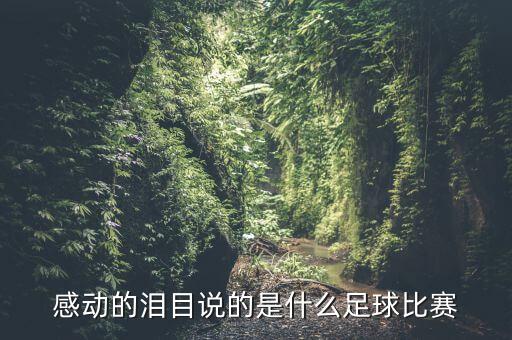 感動的淚目說的是什么足球比賽