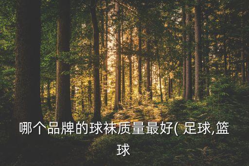 哪個品牌的球襪質(zhì)量最好( 足球,籃球
