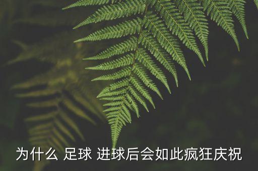 為什么 足球 進(jìn)球后會(huì)如此瘋狂慶祝