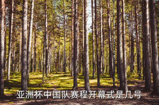 亞洲杯中國隊賽程開幕式是幾號