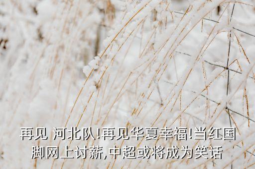 再見 河北隊!再見華夏幸福!當紅國腳網(wǎng)上討薪,中超或?qū)⒊蔀樾υ? class=