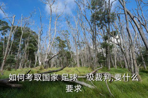 內(nèi)蒙古足球裁判員等級查詢,足球裁判員證書編號查詢