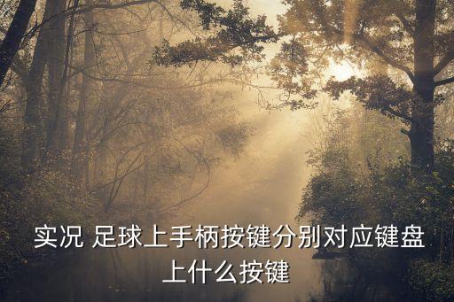 實(shí)況 足球上手柄按鍵分別對(duì)應(yīng)鍵盤上什么按鍵