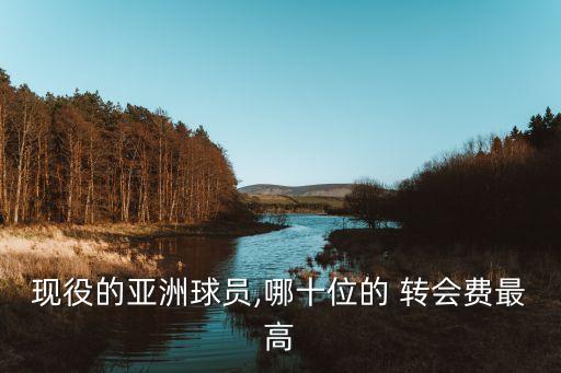 現(xiàn)役的亞洲球員,哪十位的 轉(zhuǎn)會費最高