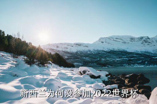  新西蘭為何沒(méi)參加2022世界杯