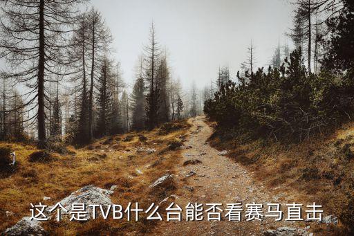 這個是TVB什么臺能否看賽馬直擊
