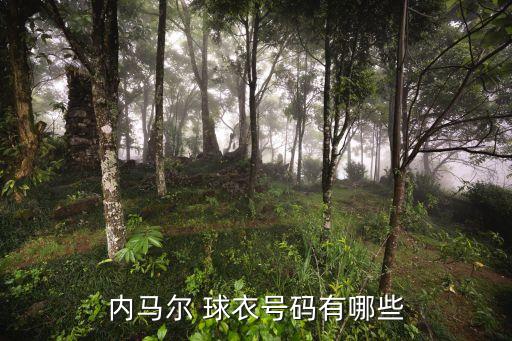 內(nèi)馬爾 球衣號(hào)碼有哪些