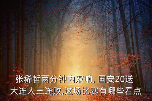 張稀哲兩分鐘內(nèi)雙響, 國(guó)安20送 大連人三連敗,這場(chǎng)比賽有哪些看點(diǎn)