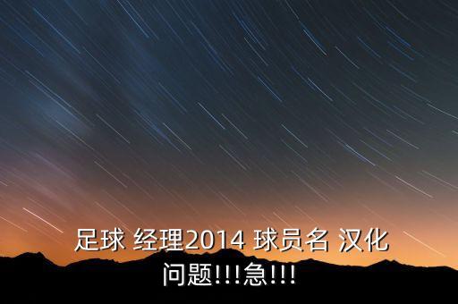  足球 經(jīng)理2014 球員名 漢化問(wèn)題!!!急!!!