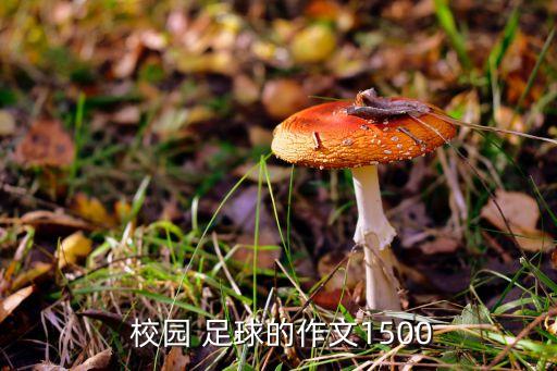  校園 足球的作文1500