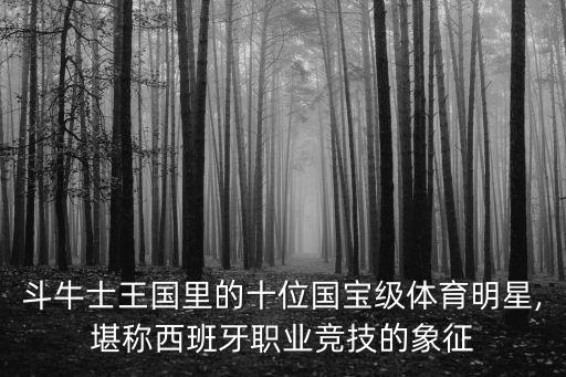 斗牛士王國(guó)里的十位國(guó)寶級(jí)體育明星,堪稱西班牙職業(yè)競(jìng)技的象征