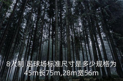 滄州八人制足球,八人制足球各個(gè)位置要干什么