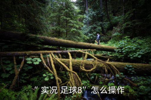“ 實況 足球8”怎么操作