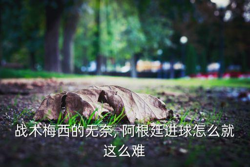 戰(zhàn)術(shù)梅西的無奈, 阿根廷進(jìn)球怎么就這么難