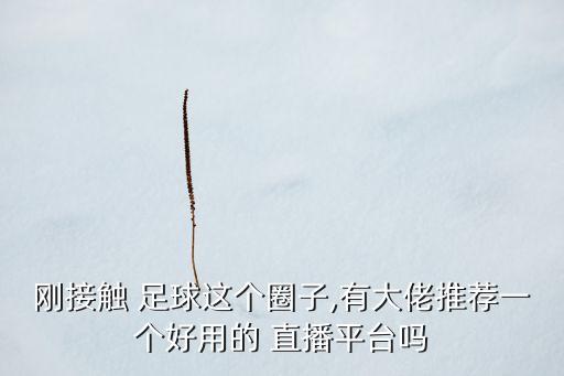 剛接觸 足球這個圈子,有大佬推薦一個好用的 直播平臺嗎