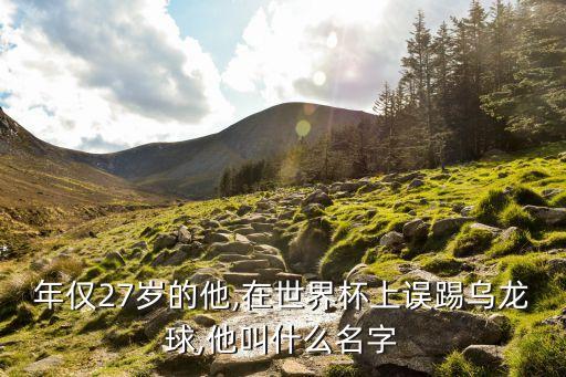 年僅27歲的他,在世界杯上誤踢烏龍球,他叫什么名字
