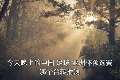 今天晚上的中國(guó) 足球 亞洲杯預(yù)選賽哪個(gè)臺(tái)轉(zhuǎn)播啊