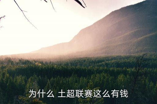 為什么 土超聯(lián)賽這么有錢(qián)