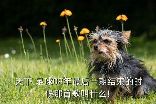  天下 足球08年最后一期結(jié)束的時(shí)候那首歌叫什么!