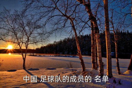 中國(guó) 足球隊(duì)的成員的 名單