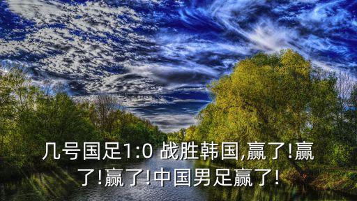 足球中國隊戰(zhàn)勝韓國隊,中國隊對韓國隊足球比賽結果