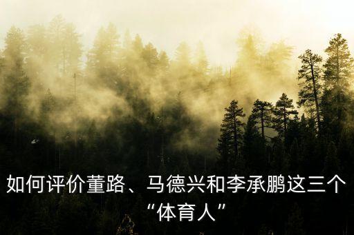 如何評價董路、馬德興和李承鵬這三個“體育人”
